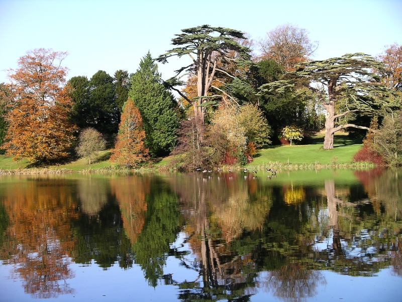 Sherborne Castle